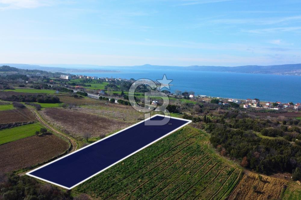 Çanakkale Lapseki Suluca 4.381m² Ana Yola Yakın Manzaralı Tarla