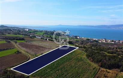 Çanakkale Lapseki Suluca 4.381m² Ana Yola Yakın Manzaralı Tarla