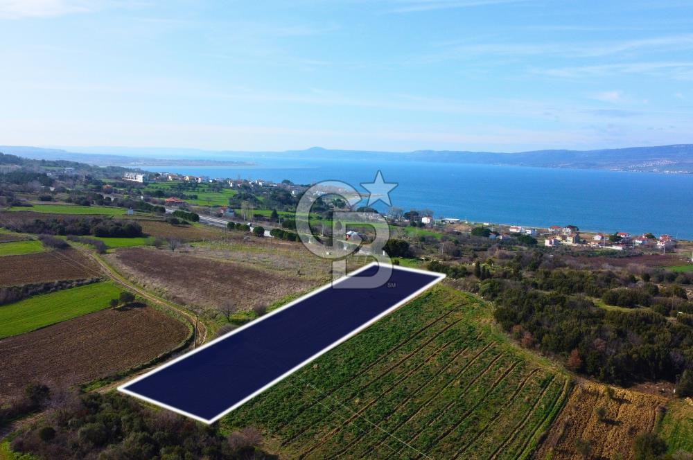 Çanakkale Lapseki Suluca 4.381m² Ana Yola Yakın Manzaralı Tarla