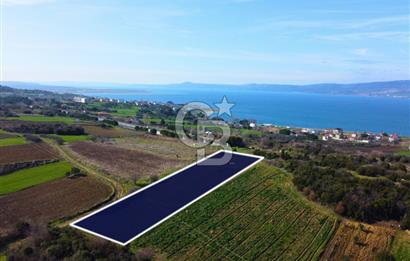 Çanakkale Lapseki Suluca 4.381m² Ana Yola Yakın Manzaralı Tarla