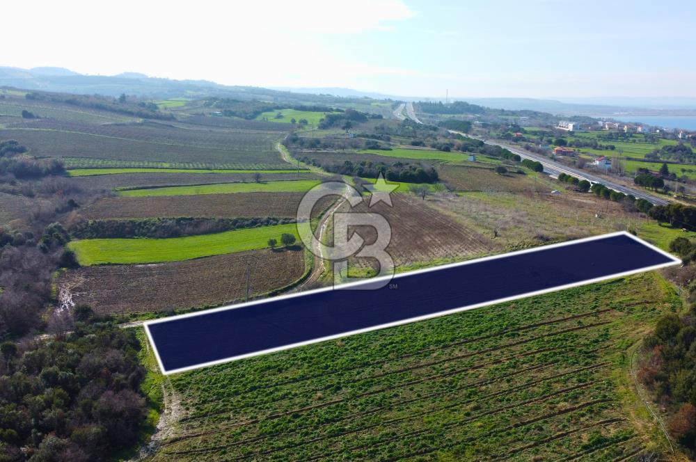 Çanakkale Lapseki Suluca 4.381m² Ana Yola Yakın Manzaralı Tarla