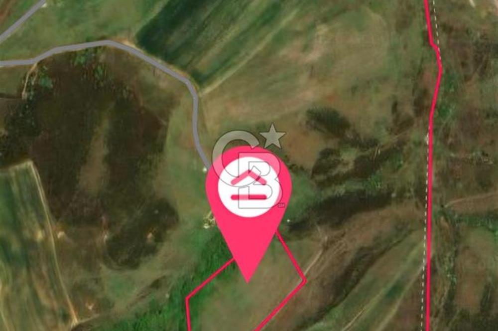 Tuzla Akfıratta Yatırumlık Hisseli Arsa