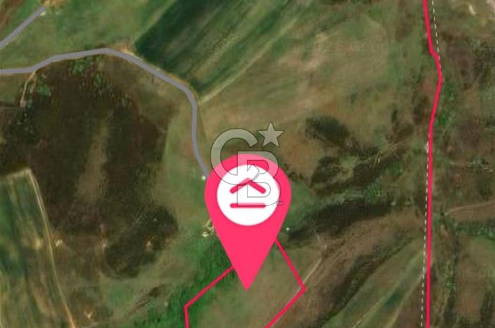 Tuzla Akfıratta Yatırumlık Hisseli Arsa