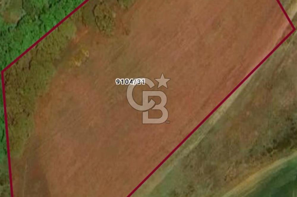 Tuzla Akfıratta Yatırumlık Hisseli Arsa