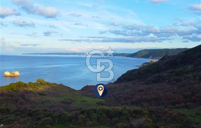 Çanakkale Lapseki'de Resmi Yolu Olan Denize Sıfır 18.796m² Arazi