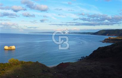 Çanakkale Lapseki'de Resmi Yolu Olan Denize Sıfır 18.796m² Arazi