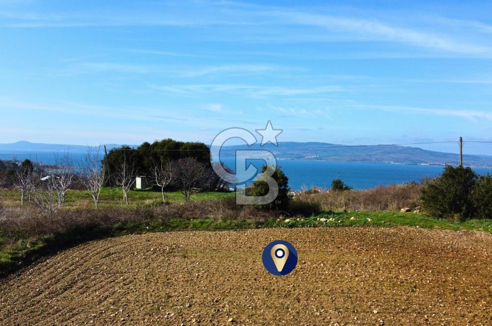 Çanakkale Lapseki Suluca 4.381m² Ana Yola Yakın Manzaralı Tarla