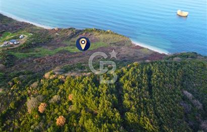 Çanakkale Lapseki'de Resmi Yolu Olan Denize Sıfır 18.796m² Arazi