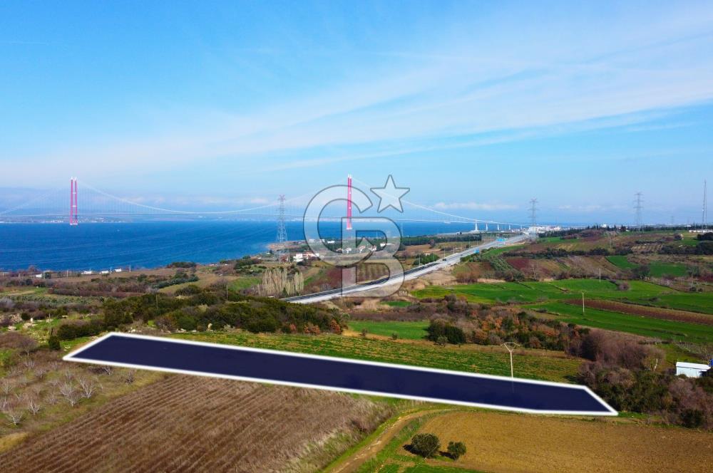 Çanakkale Lapseki Suluca 4.381m² Ana Yola Yakın Manzaralı Tarla