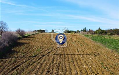 Çanakkale Lapseki Suluca 4.381m² Ana Yola Yakın Manzaralı Tarla