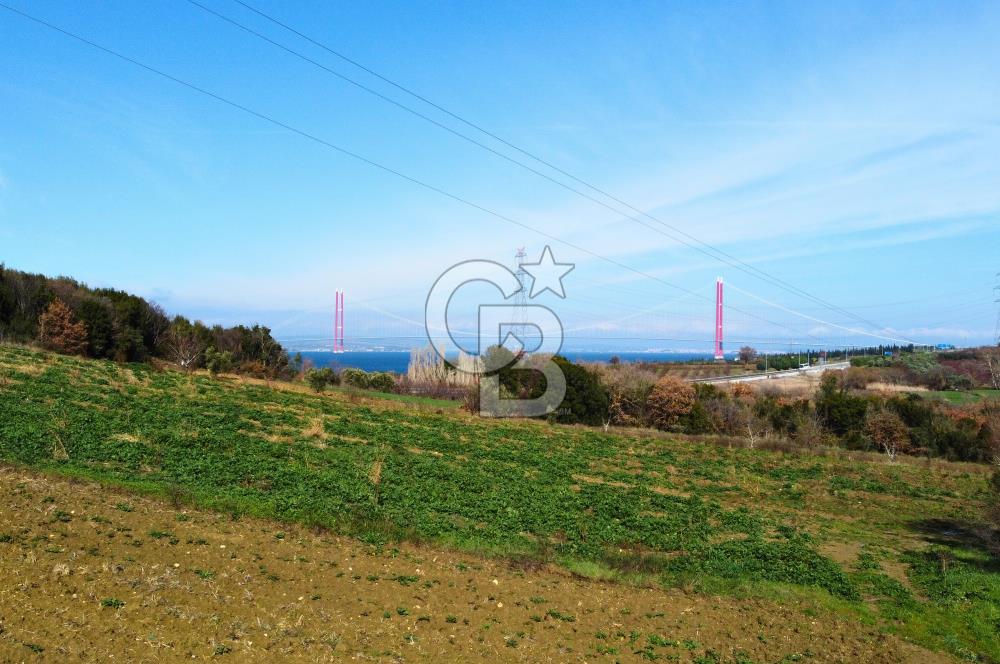 Çanakkale Lapseki Suluca 4.381m² Ana Yola Yakın Manzaralı Tarla
