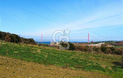 Çanakkale Lapseki Suluca 4.381m² Ana Yola Yakın Manzaralı Tarla