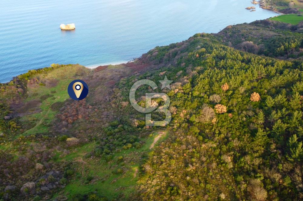 Çanakkale Lapseki'de Resmi Yolu Olan Denize Sıfır 18.796m² Arazi