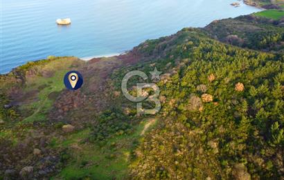 Çanakkale Lapseki'de Resmi Yolu Olan Denize Sıfır 18.796m² Arazi