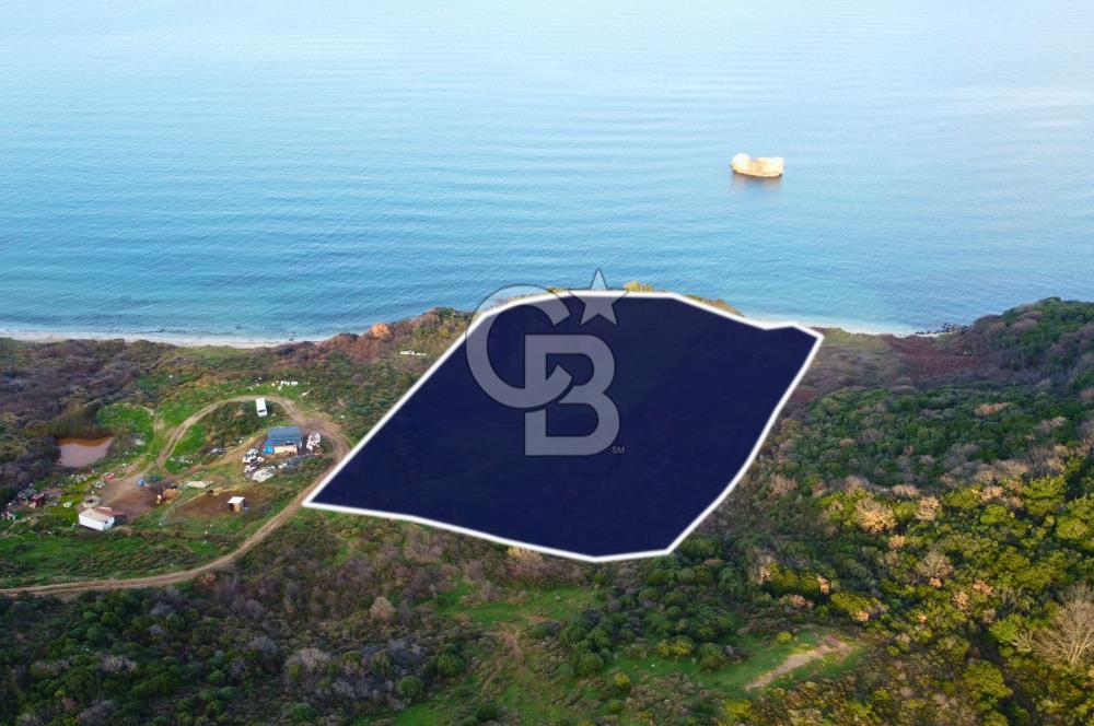 Çanakkale Lapseki'de Resmi Yolu Olan Denize Sıfır 18.796m² Arazi