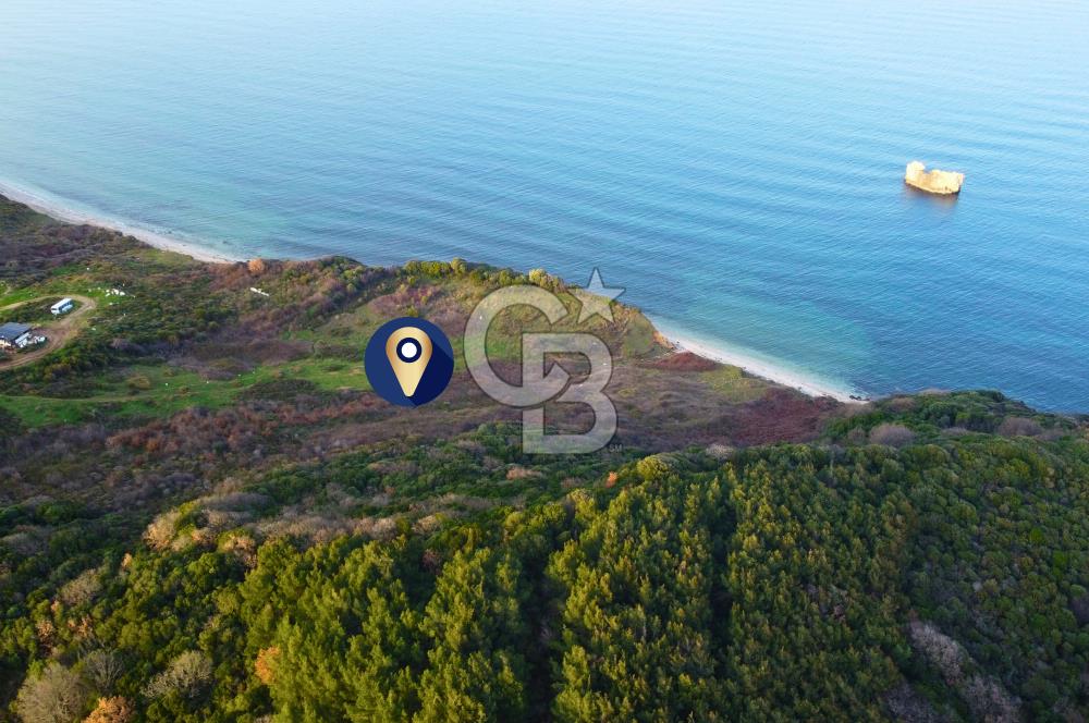 Çanakkale Lapseki'de Resmi Yolu Olan Denize Sıfır 18.796m² Arazi