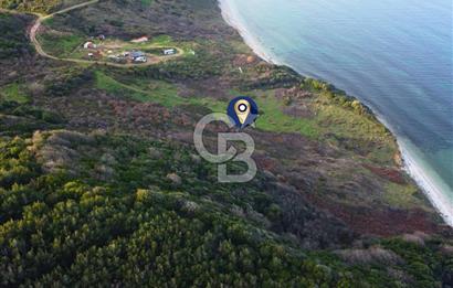 Çanakkale Lapseki'de Resmi Yolu Olan Denize Sıfır 18.796m² Arazi