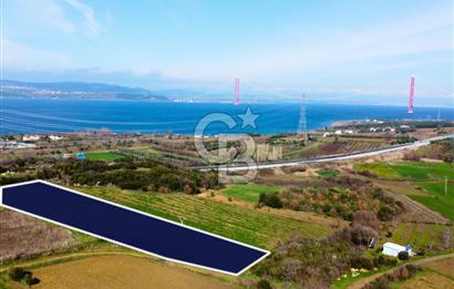 Çanakkale Lapseki Suluca 4.381m² Ana Yola Yakın Manzaralı Tarla
