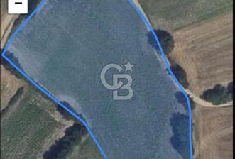 Tekirdağ-Saray-Büyükyoncalı-Atatürk Mah. Satılık Tarla - 1 - 332668