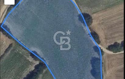 Tekirdağ-Saray-Büyükyoncalı-Atatürk Mah. Satılık Tarla