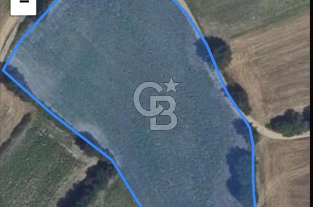 Tekirdağ-Saray-Büyükyoncalı-Atatürk Mah. Satılık Tarla