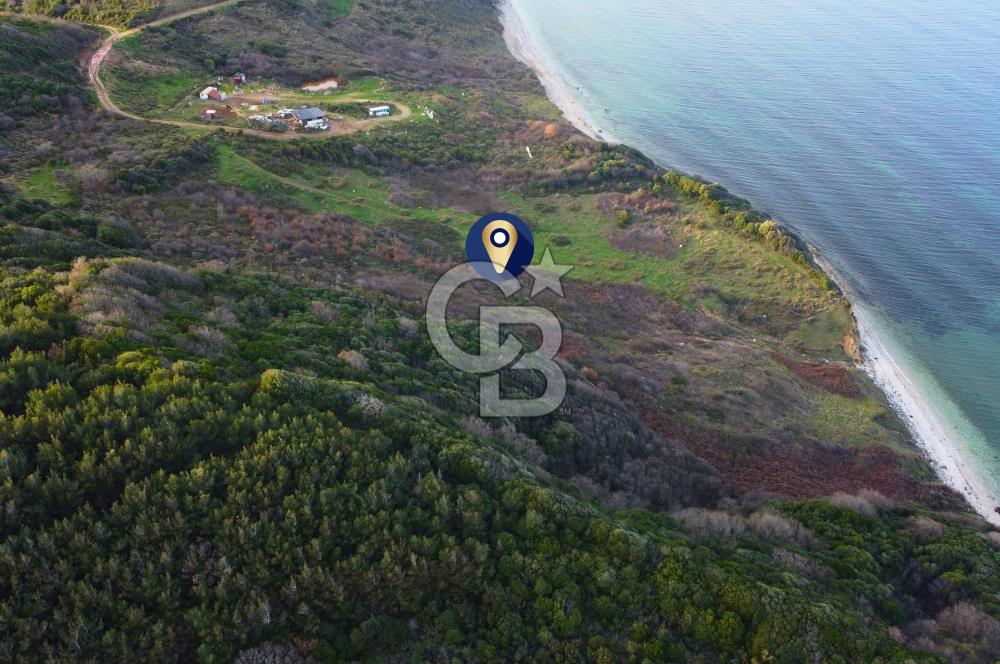 Çanakkale Lapseki'de Resmi Yolu Olan Denize Sıfır 18.796m² Arazi