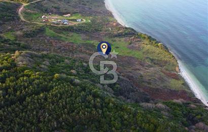 Çanakkale Lapseki'de Resmi Yolu Olan Denize Sıfır 18.796m² Arazi