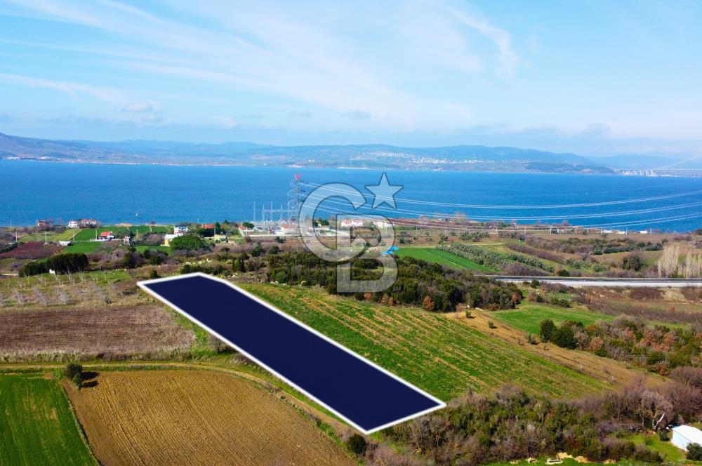 Çanakkale Lapseki Suluca 4.381m² Ana Yola Yakın Manzaralı Tarla