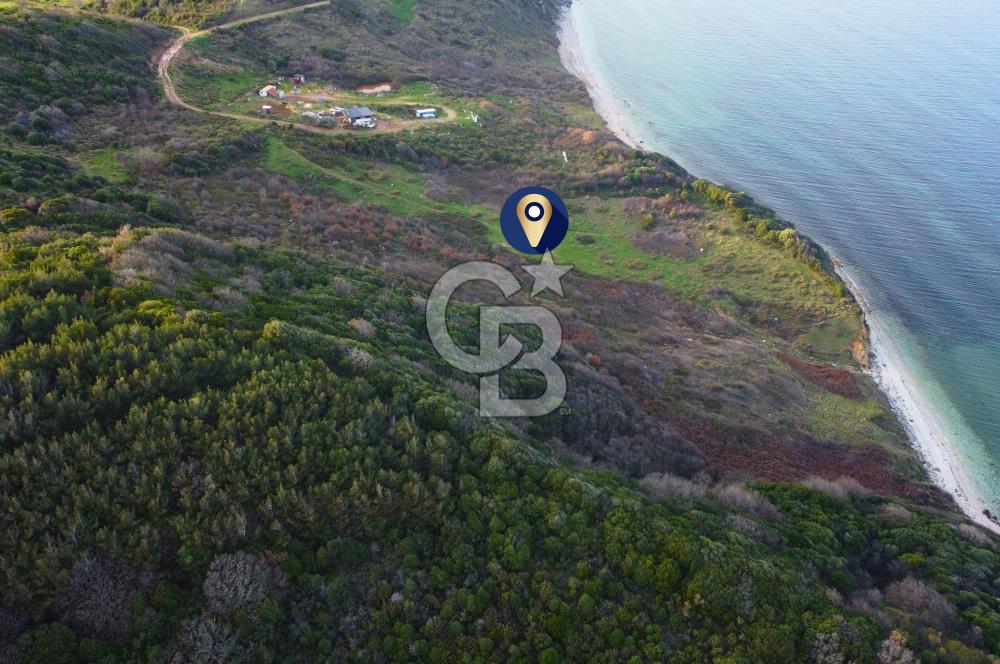Çanakkale Lapseki'de Resmi Yolu Olan Denize Sıfır 18.796m² Arazi