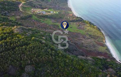 Çanakkale Lapseki'de Resmi Yolu Olan Denize Sıfır 18.796m² Arazi