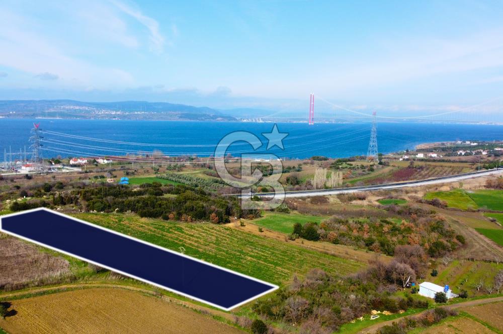 Çanakkale Lapseki Suluca 4.381m² Ana Yola Yakın Manzaralı Tarla