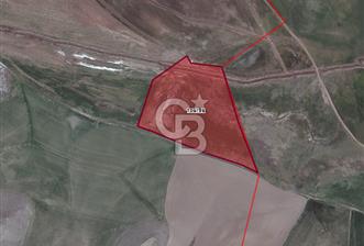 ÇAVUŞLU MAHALLESİNDE HİSSELİ 2472 M² SATILIK TARLA - 4 - 332678