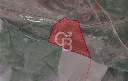 ÇAVUŞLU MAHALLESİNDE HİSSELİ 2472 M² SATILIK TARLA