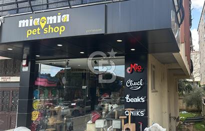 Gerzele de Cadde Üstü Devren Kiralık Petshop