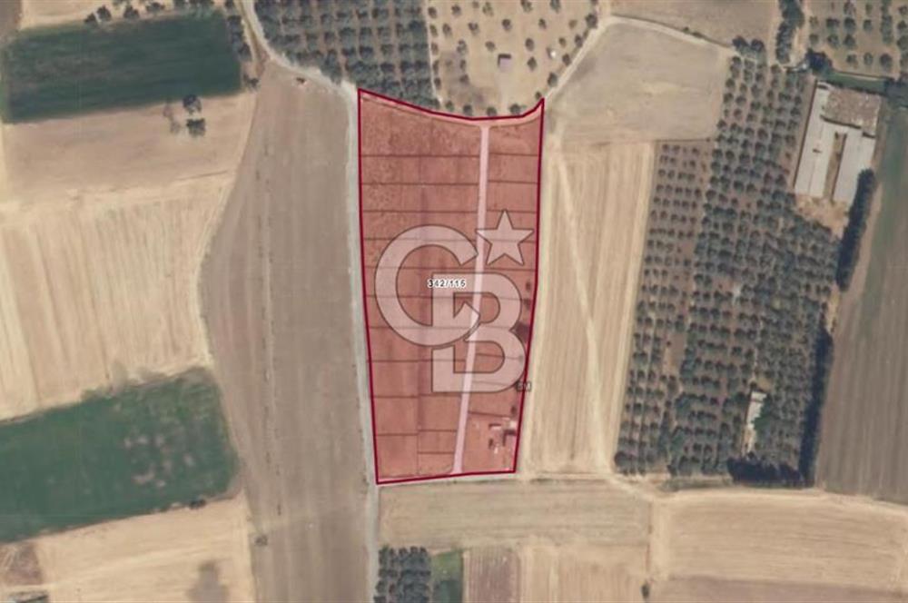 Muğla Milas Satılık Arazi