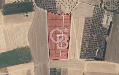 Muğla Milas Satılık Arazi