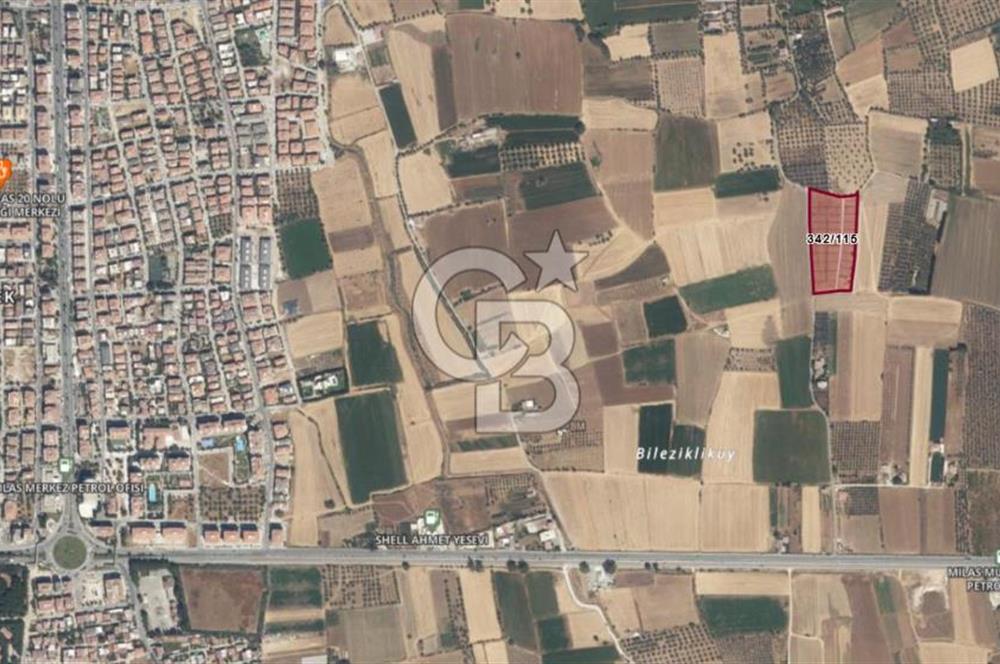 Muğla Milas Satılık Arazi