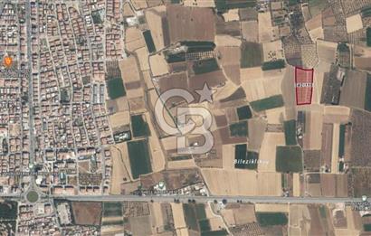 Muğla Milas Satılık Arazi