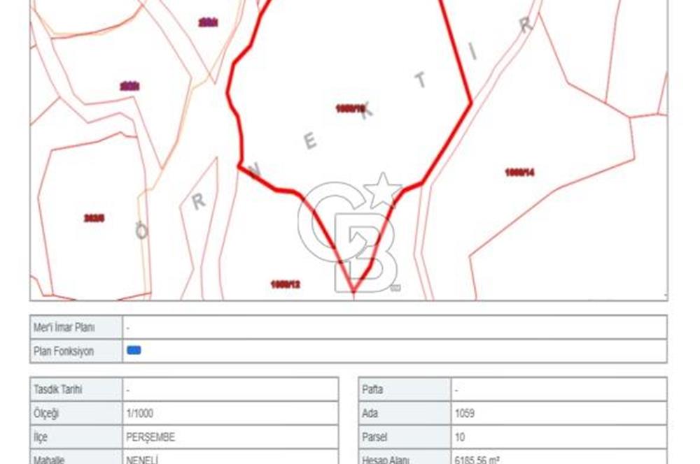 Doğa İçinde Ulaşımı Kolay Satılık 6185 m² Fındık Bahçesi