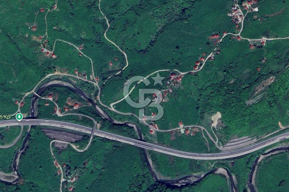 Doğa İçinde Ulaşımı Kolay Satılık 6185 m² Fındık Bahçesi