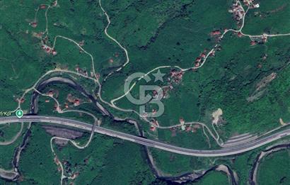 Doğa İçinde Ulaşımı Kolay Satılık 6185 m² Fındık Bahçesi