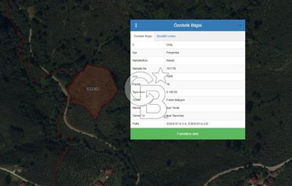 Doğa İçinde Ulaşımı Kolay Satılık 6185 m² Fındık Bahçesi