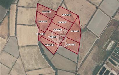 Havalimanına Komşu Satılık 10 Adet 50 Dönüm Tarla