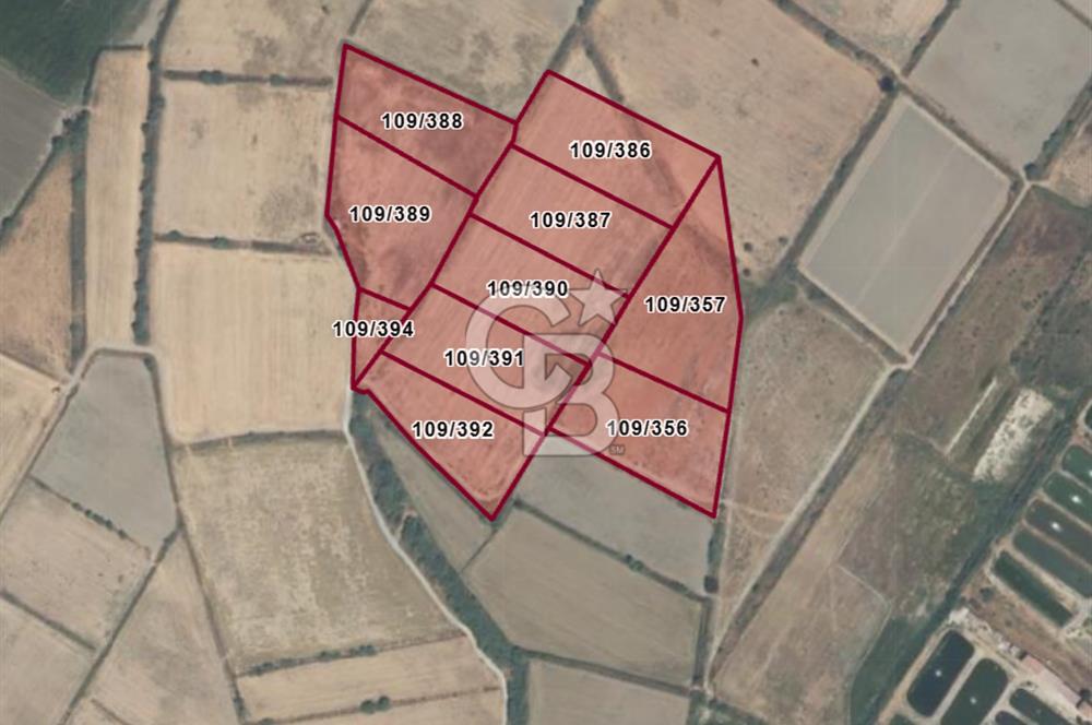 Havalimanına Komşu Satılık 10 Adet 50 Dönüm Tarla