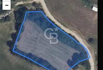 Tekirdağ-Saray-Büyükyoncalı Atatürk Mahallesi Satılık Tarla - 6 - 332667