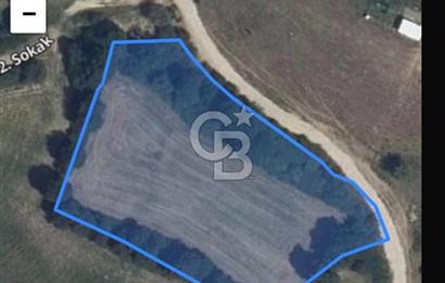 Tekirdağ-Saray-Büyükyoncalı Atatürk Mahallesi Satılık Tarla