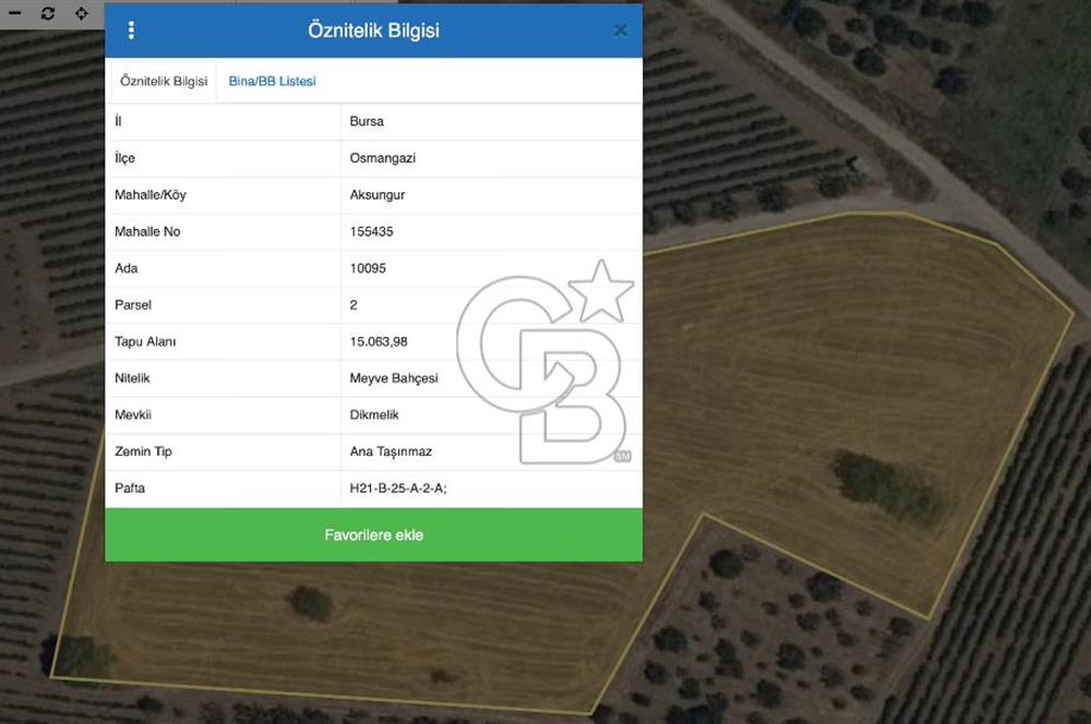 Bursa Aksungur'da Yatırıma Uygun 15 Dönüm Köşe Parsel Tarla