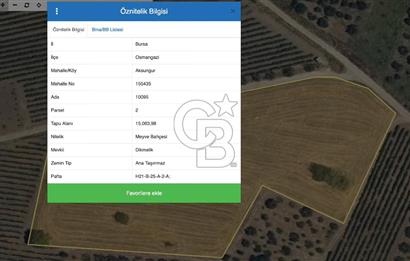 Bursa Aksungur'da Yatırıma Uygun 15 Dönüm Köşe Parsel Tarla