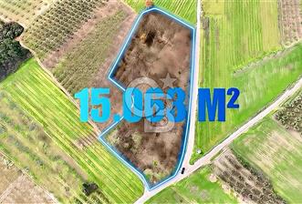 Bursa Aksungur'da Yatırıma Uygun 15 Dönüm Köşe Parsel Tarla - 1 - 332639