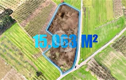 Bursa Aksungur'da Yatırıma Uygun 15 Dönüm Köşe Parsel Tarla